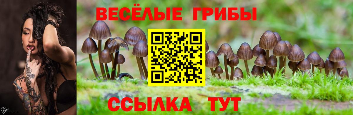 Южно-Сахалинск  купить  цена  Вход с VPN  Псилоцибиновые грибы Magic Shrooms 